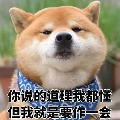 恢复最新进展！孙铭徽双脚现已能够提踵 广厦季后赛首轮轮空