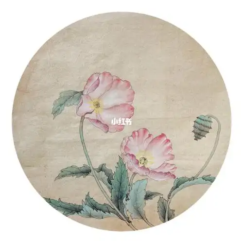 先达成一个小目标~🚢快船锁定西部前十 保底附加赛