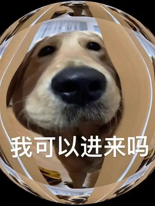 打铁匠？奇才榜眼萨尔17中3得8分3板3助1断2帽 三分7中1