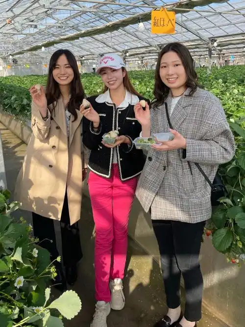 持续冲！快船曩昔14场竞赛11胜3负 只输给了鹈鹕&雷霆&骑士